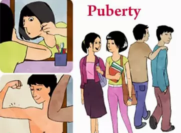 Puberty